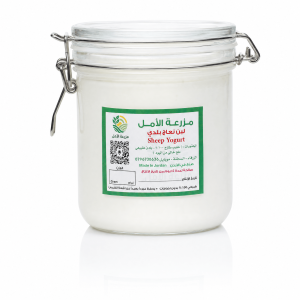 Sheep Yogurt