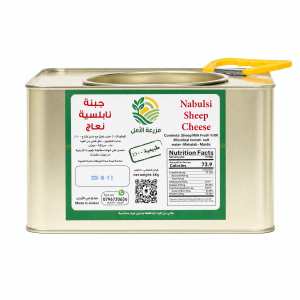 Nabulsi cheese